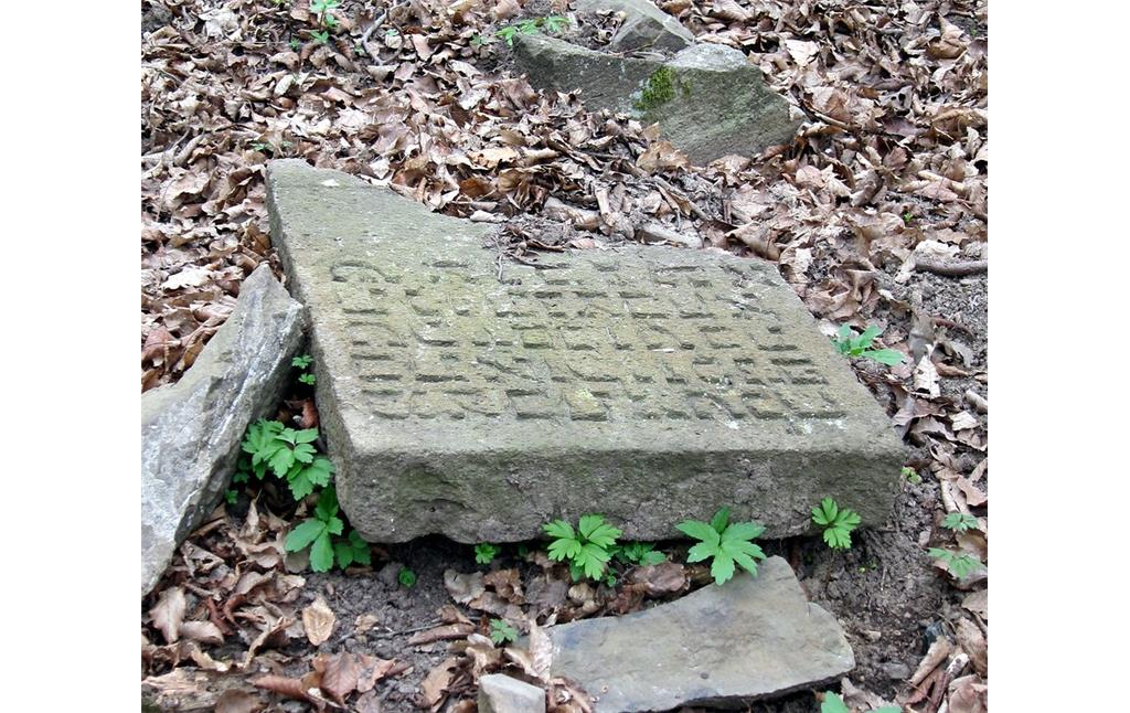 Umgestürtzter und zerbrochener Grabstein auf dem Alten Jüdischen Friedhof in Bad Breisig-Rheineck (2013)