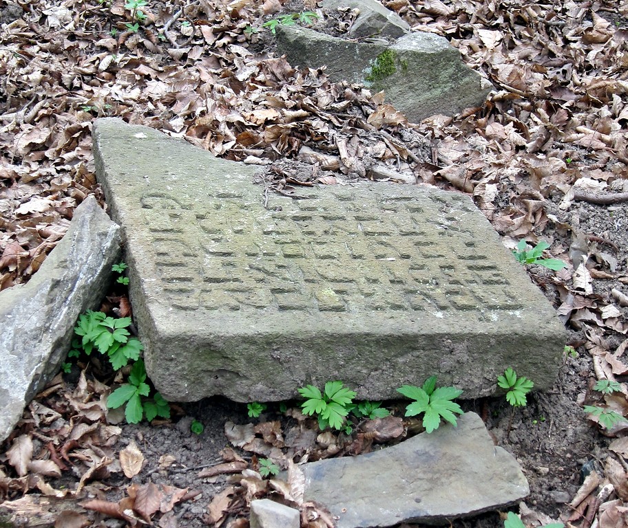 Umgestürtzter und zerbrochener Grabstein auf dem Alten Jüdischen Friedhof in Bad Breisig-Rheineck (2013)