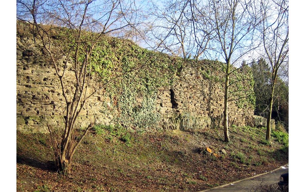 Reste der Stadtmauer Sinzig im Bereich der Harbachstraße  (2006)