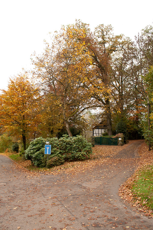 Hofanlage zwischen Im Kamp und Gimbachweg mit markantem Hofbaum in Erlinghagen (2013)