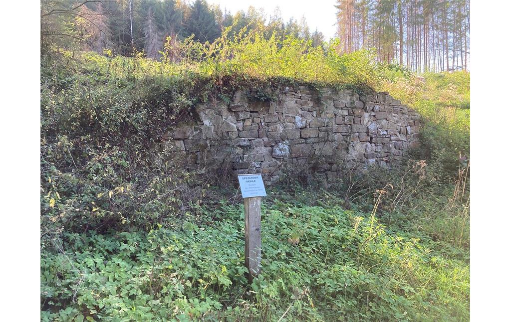 Mauerreste des Wohnhauses der Spezarder Mühle (2020)