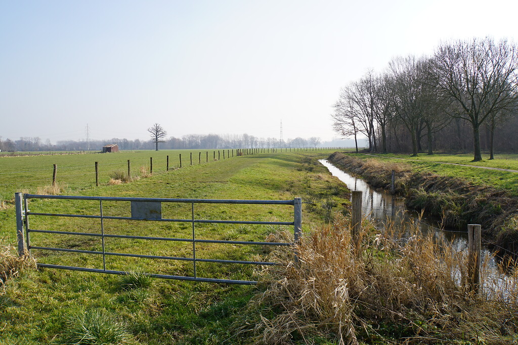 Der Vlootbeek zeigt südlich von Posterholt noch einen sehr geraden Verlauf (2016)