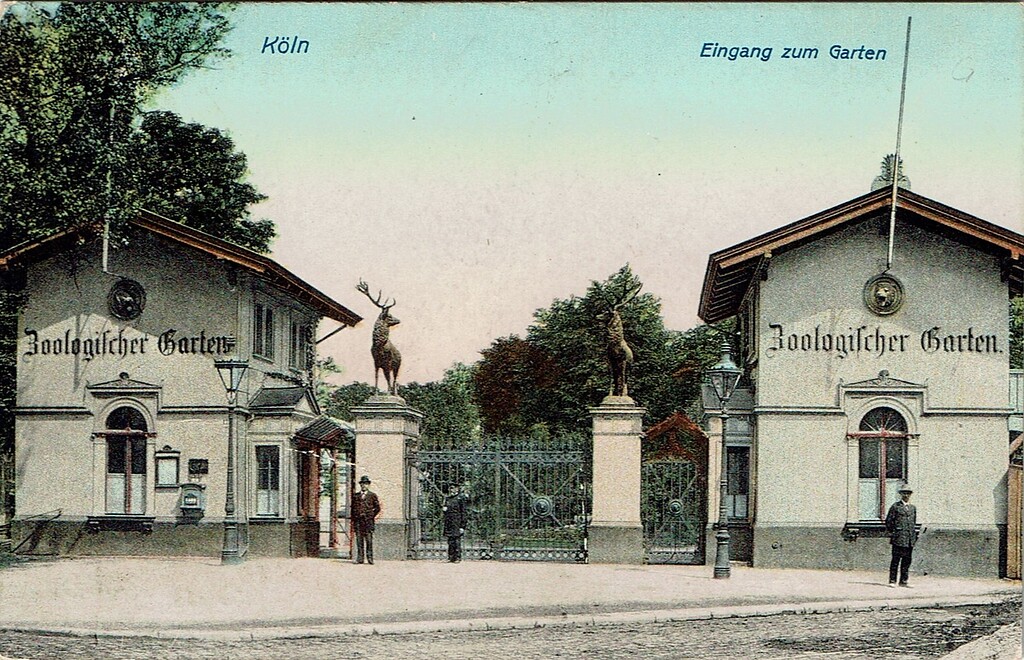 Historische Postkarte (um 1912): "Köln, Eingang zum Garten" mit einem Blick auf den Eingang zum Zoologischen Garten mit zwei seinerzeit dort stehenden Hirschfiguren.