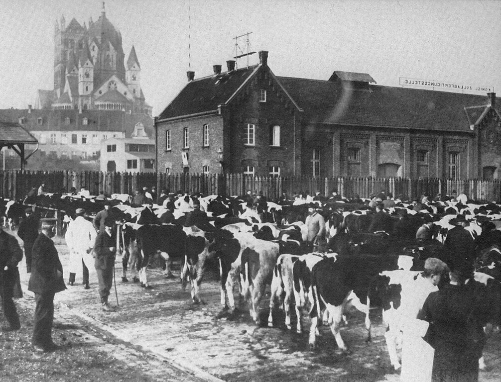 Zollabfertigung vor dem Schlachthof in Neuss um 1910