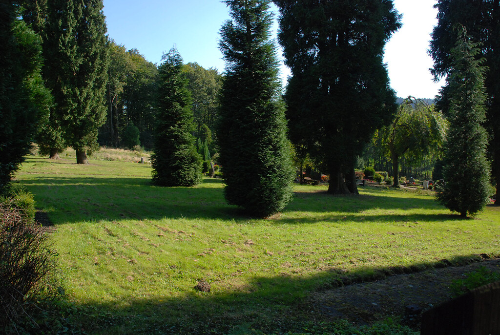 Alter Baumbestand auf dem Friedhof von Remlingrade (2008)
