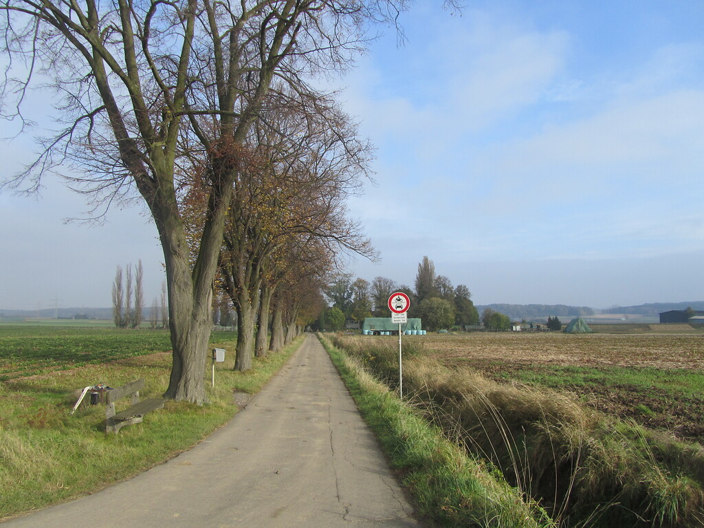 Zufahrt zum Sommersberger Hof mit Baumreihe (2014)