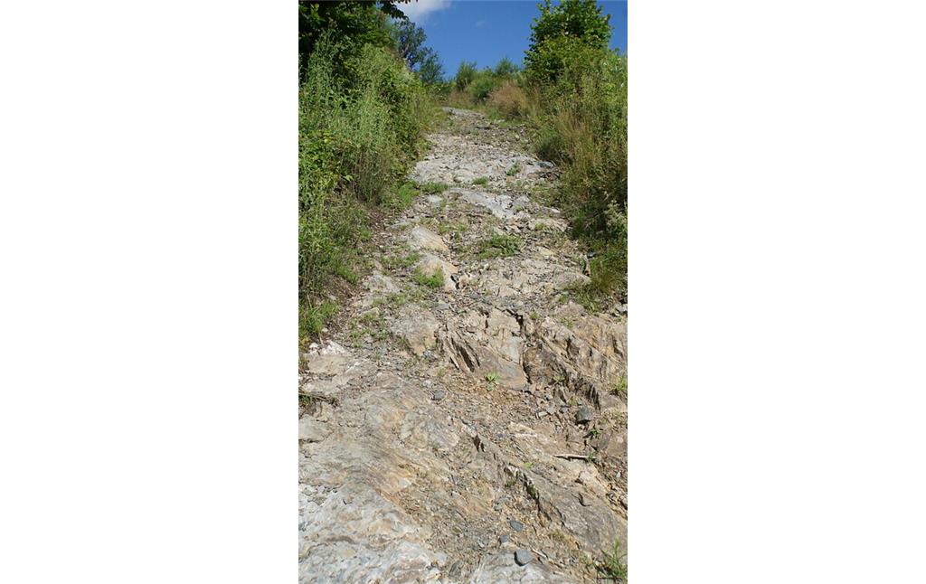 Steiler Abschnitt des Kall-Trails zwischen Fleig-Kurve und Felsnase mit freiliegendem Schiefergestein (2021)