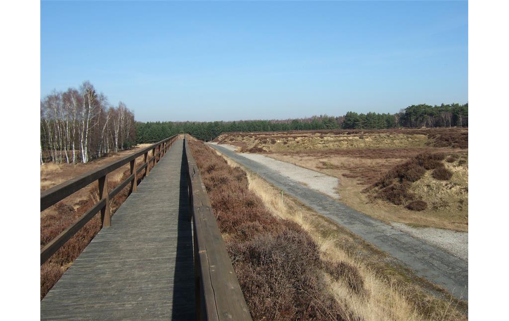 Holzbohlenweg auf einem Splitterschutzwall, Munitionsdepot Bracht (2013)