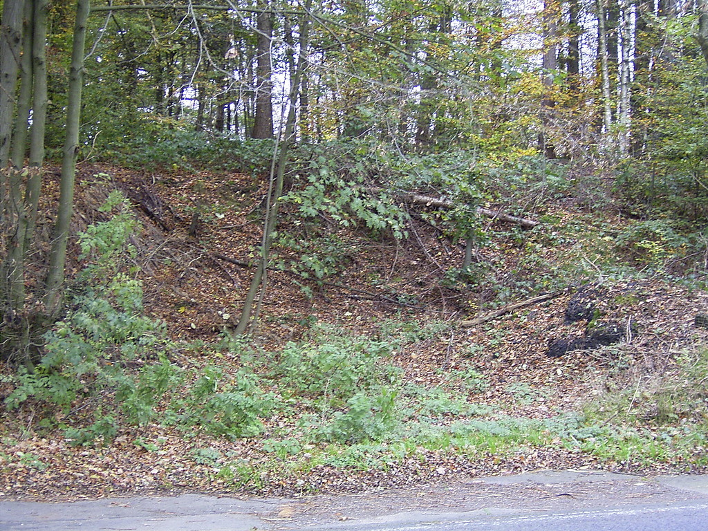 Steinbruch bei Altenholte (2007)