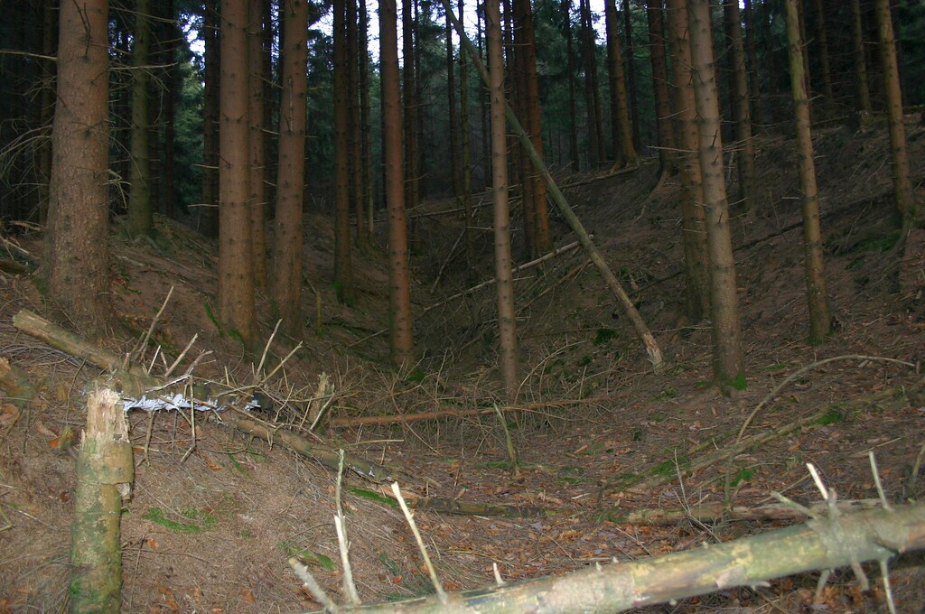 Steinbruch am Hohlwegbündel bei Erlenbach (2008)
