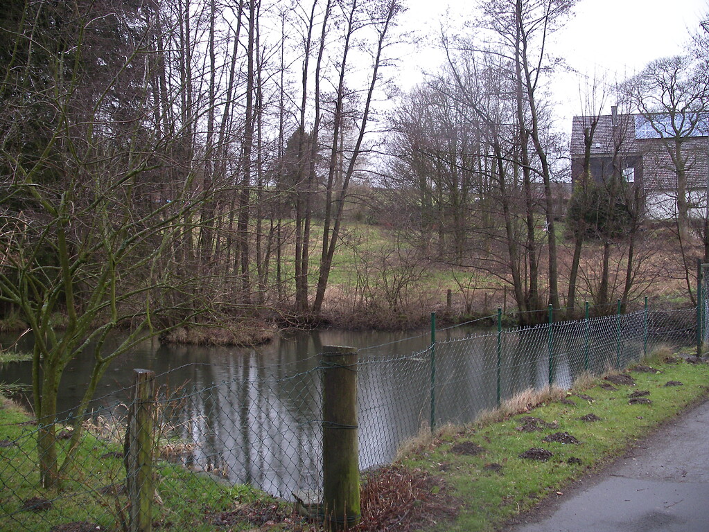 Historischer Teich in Fuhr (2008)