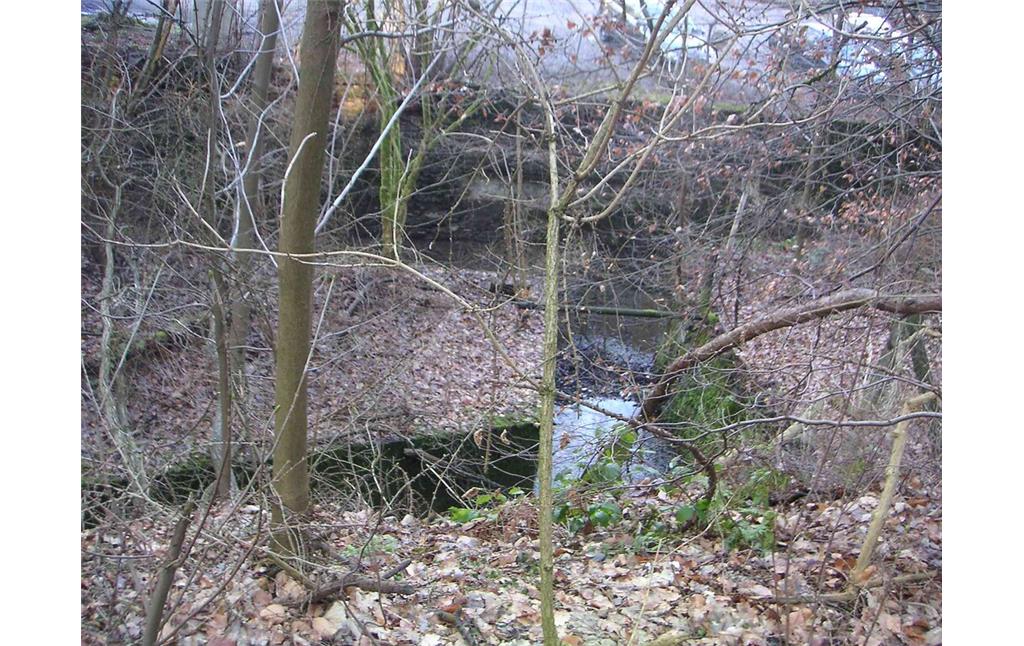 Die Wassergräben der ehemaligen Mühlen- und Hämmeranlagen in Krebsöge sind erhalten (2008)