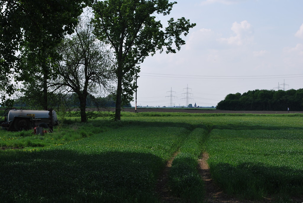 Im Bereich des Friedhofs ist der historische Ortsrand von Esch mit dem Übergang in die freie Agrarlandschaft erhalten geblieben. Das Bild zeigt die Blickrichtung Nord mit der Kirche von Roggendorf (2014).