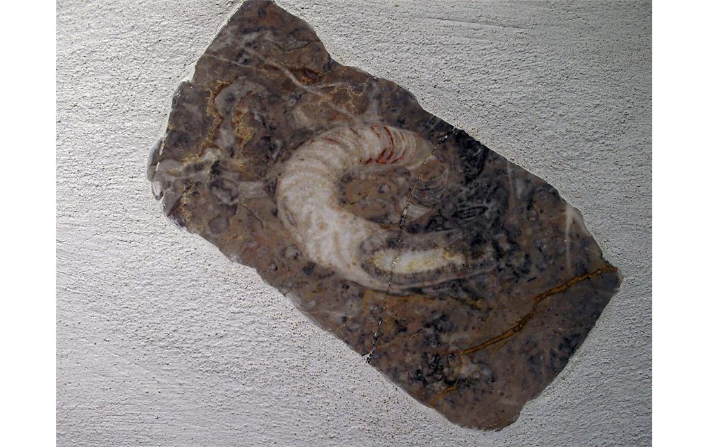 Polierte Marmorplatte im Lahn-Marmor-Museum in Villmar (2018)