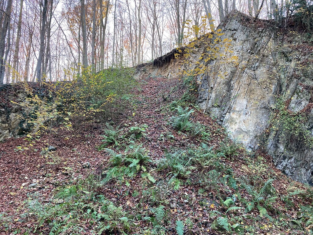 Naturdenkmal Steinbruch im Lohseifen (2020)