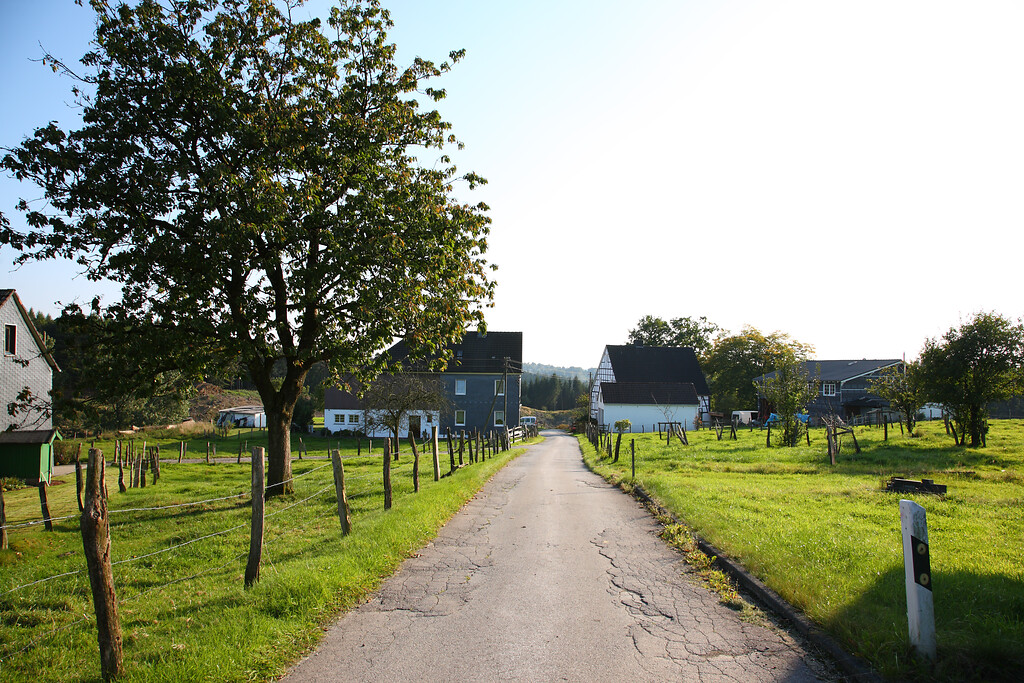 Blick in den Weiler Zum Hofe von Nordwesten (2008)
