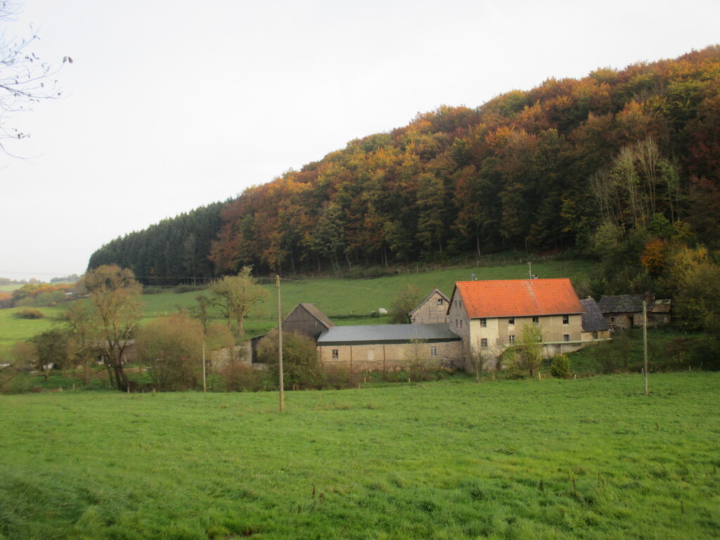Schocher Mühle (2014)