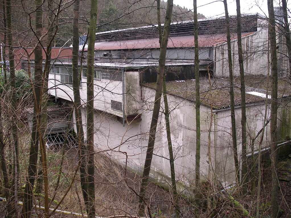 Zwischen den Bäumen sind Reste des Wassergrabens zum Antrieb der Fabrikanlage zu erkennen (2008)