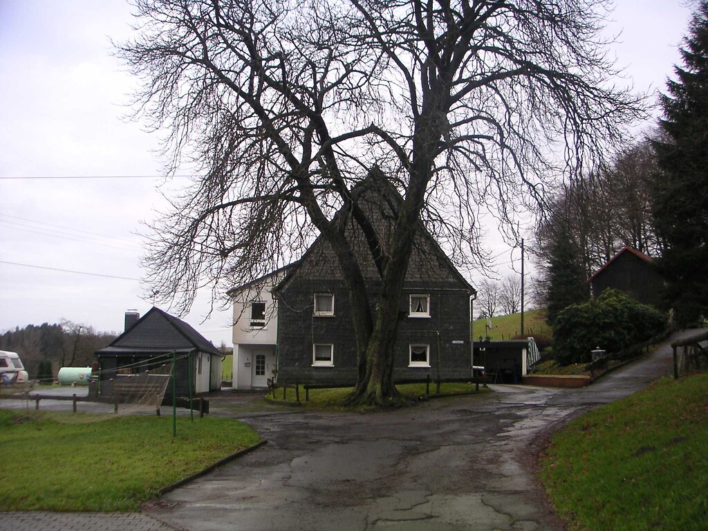 Giebelgeteilter Hof mit Hauskastanie in Milspe (2008).