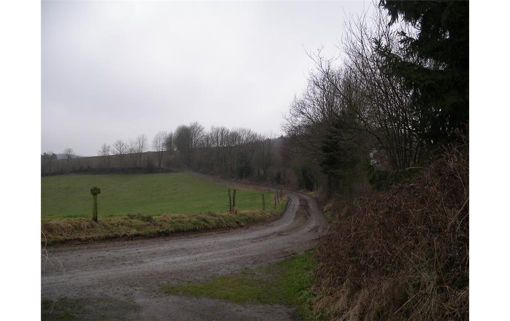 Der Hohlweg bei Ispingrade ist teilweise von Hecken begleitet (2008)