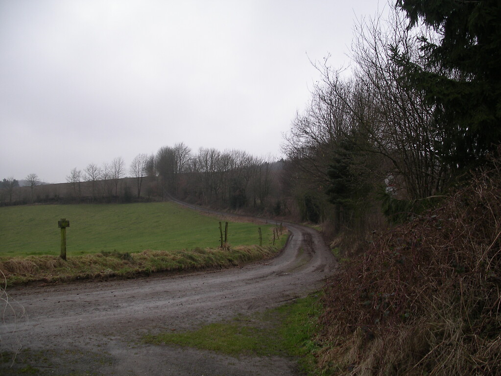 Der Hohlweg bei Ispingrade ist teilweise von Hecken begleitet (2008)
