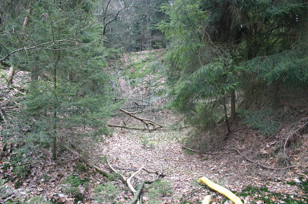 Steinbruch südlich von Erlenbach (2008)