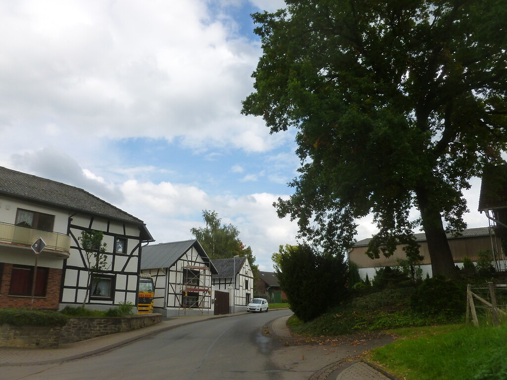 Am nordwestlichen Ortseingang von Hostel befindet sich ein alter Baum gegenüber einer Reihe von Fachwerkhäusern. (2014)