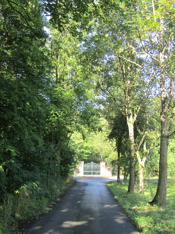 Zufahrt von Burg Schallmauer (2014)