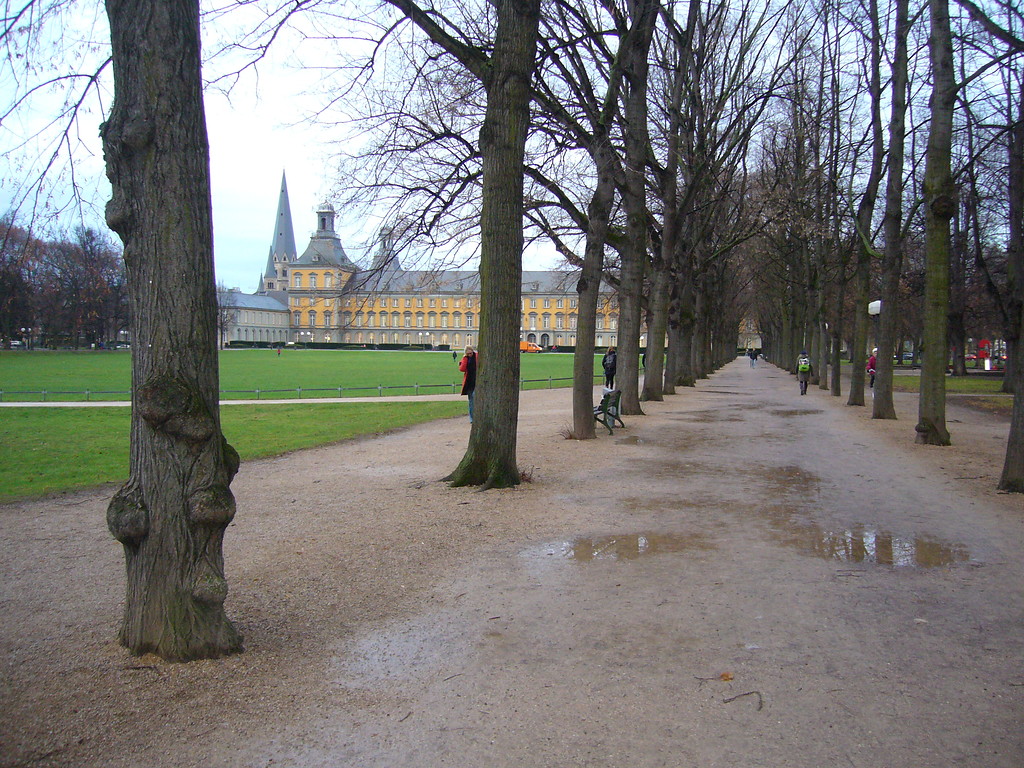 Blick durch Baumreihen auf die Hofgartenwiese in Bonn