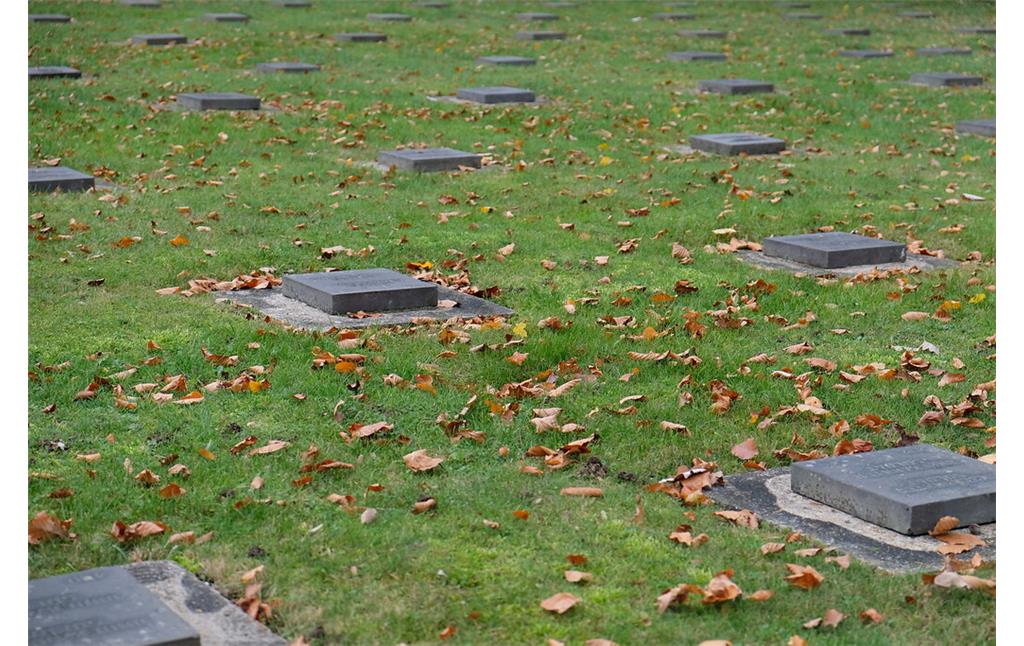 Bild 7: Grabplatten auf der Kriegsgräberstätte Vossenack heute (2020).