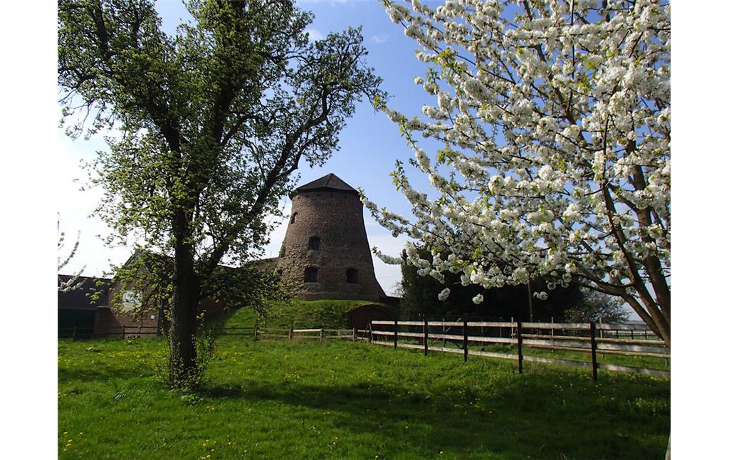 Ehemalige Turmwindmühle von Brauweiler (2013)
