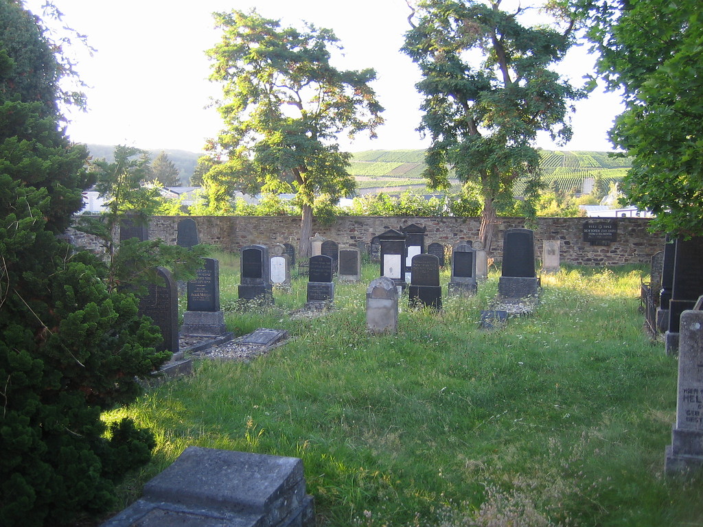 Grabsteine auf dem jüdischen Friedhof in Ahrweiler (2012)