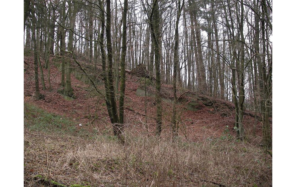 Anthropogene Spuren im Wald bei Honsberg (2008)