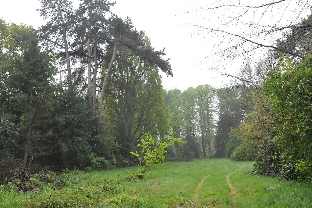 Westlicher Teil des Landschaftsgartens um Haus Caen (2017)