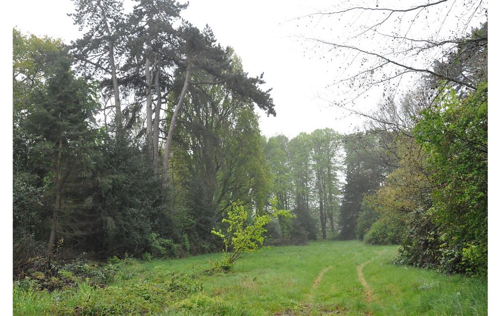 Westlicher Teil des Landschaftsgartens um Haus Caen (2017)