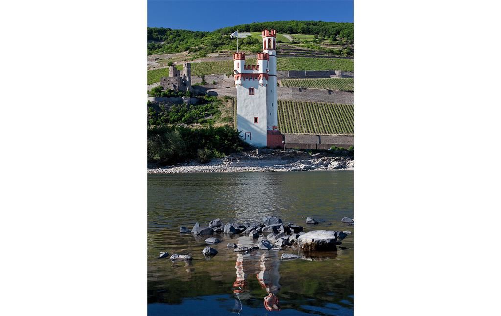 Bingen, Mauseturm im Rhein bei Niedrigwasser mit Spiegelbild (2011)