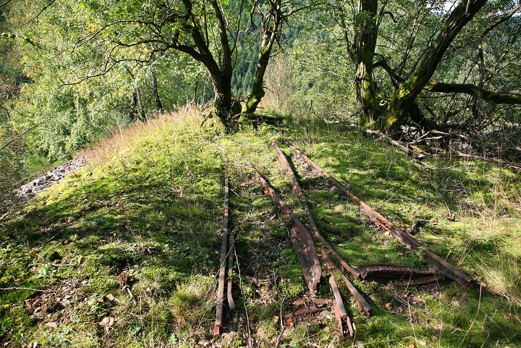 Schienenreste der Feldbahn im Steinbruch westlich von Obernhagen (2009)