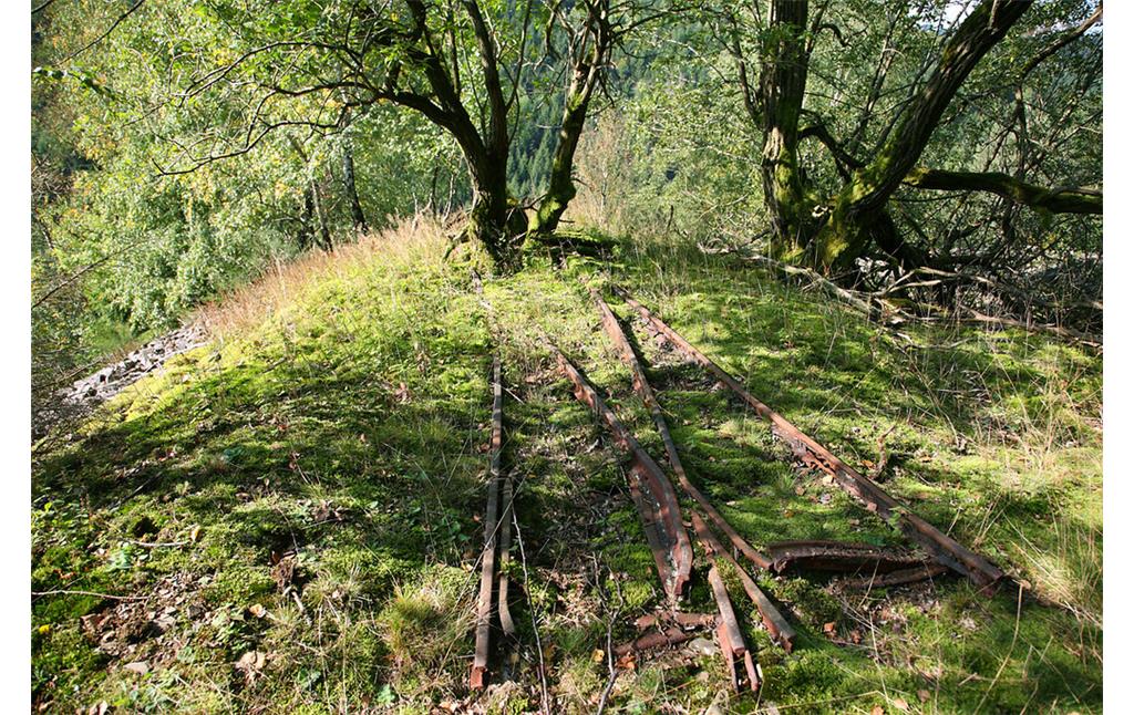 Schienenreste der Feldbahn im Steinbruch westlich von Obernhagen (2009)