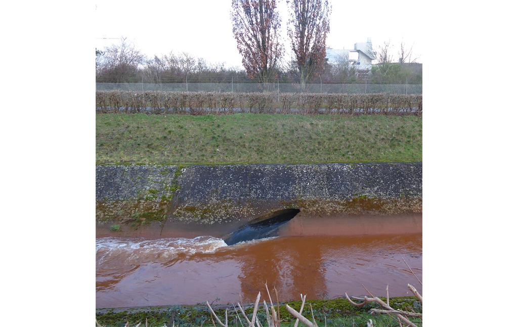Abbildung 7: Einmündung des Klärwassers aus der Zentralen Kläranlage Pulheim. Eisenocker im Randkanal aus dem Sümpfungswasser des Braunkohletagebaus (2020)