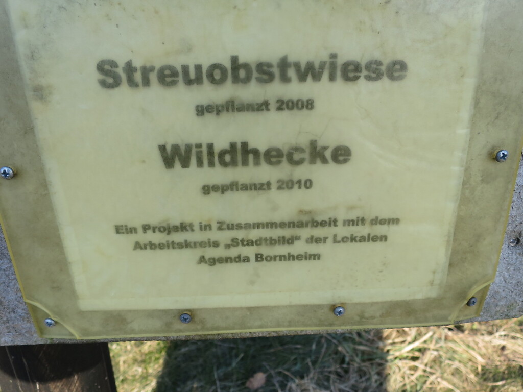 Obstwiese "Am Fuchs" in Bornheim (2018)