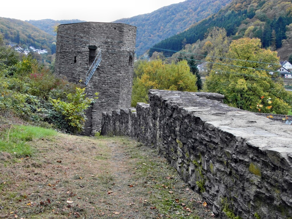 Ehemalige Stadtmauer Dausenau (2013)