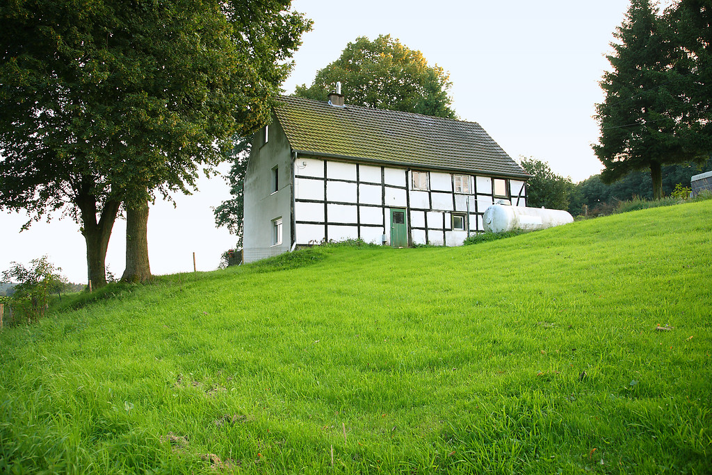Fachwerkhaus mit Hoflinden in Niederburghof (2008)
