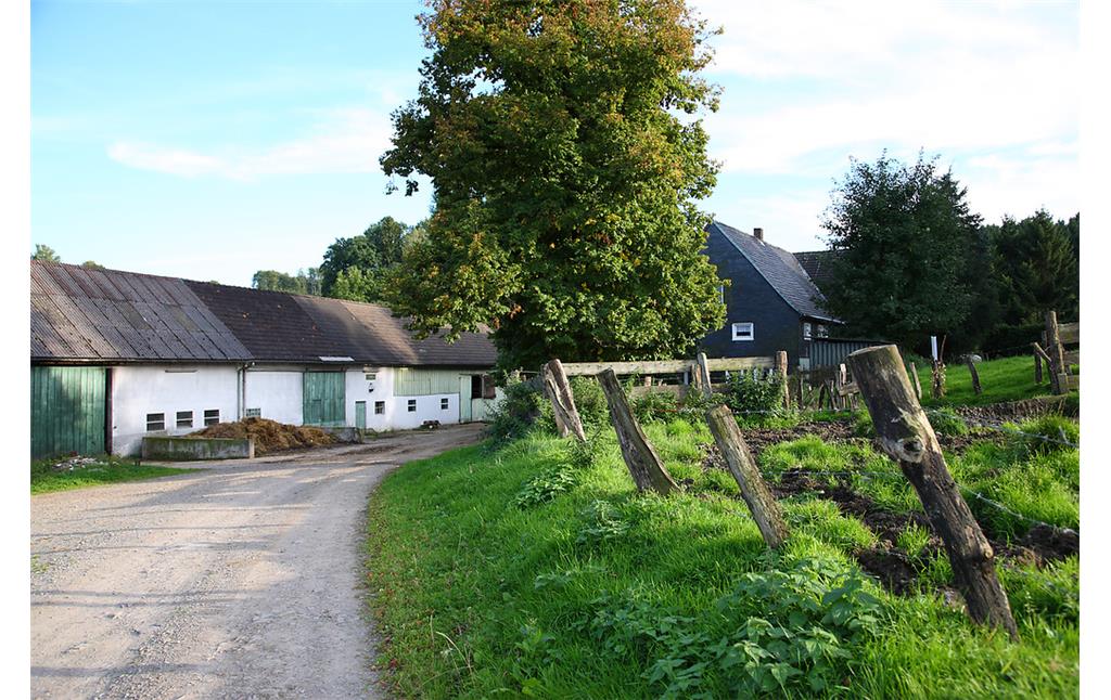 Siedlung Dörpmühle mit altem Baumbestand (2008)