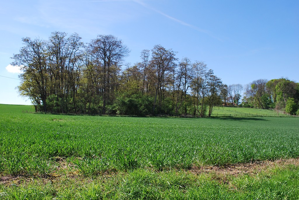 Mittelterrassenkante, Weide- und Ackerflächen sowie Reste des Bruchwaldes bei Gut Vinkenpütz (2014)