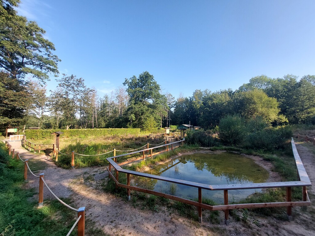 Das Gelände des Heide-Lehrpfades an der Ohligser Heide (2022)