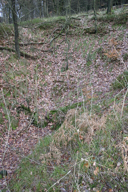 Bei der Geländevertiefung nahe Erlenbach handelt es sich vermutlich um einen Steinbruch (2008)