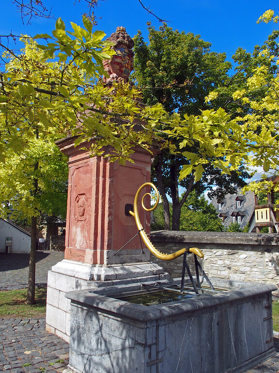Friso-Brunnen in Diez (2020)