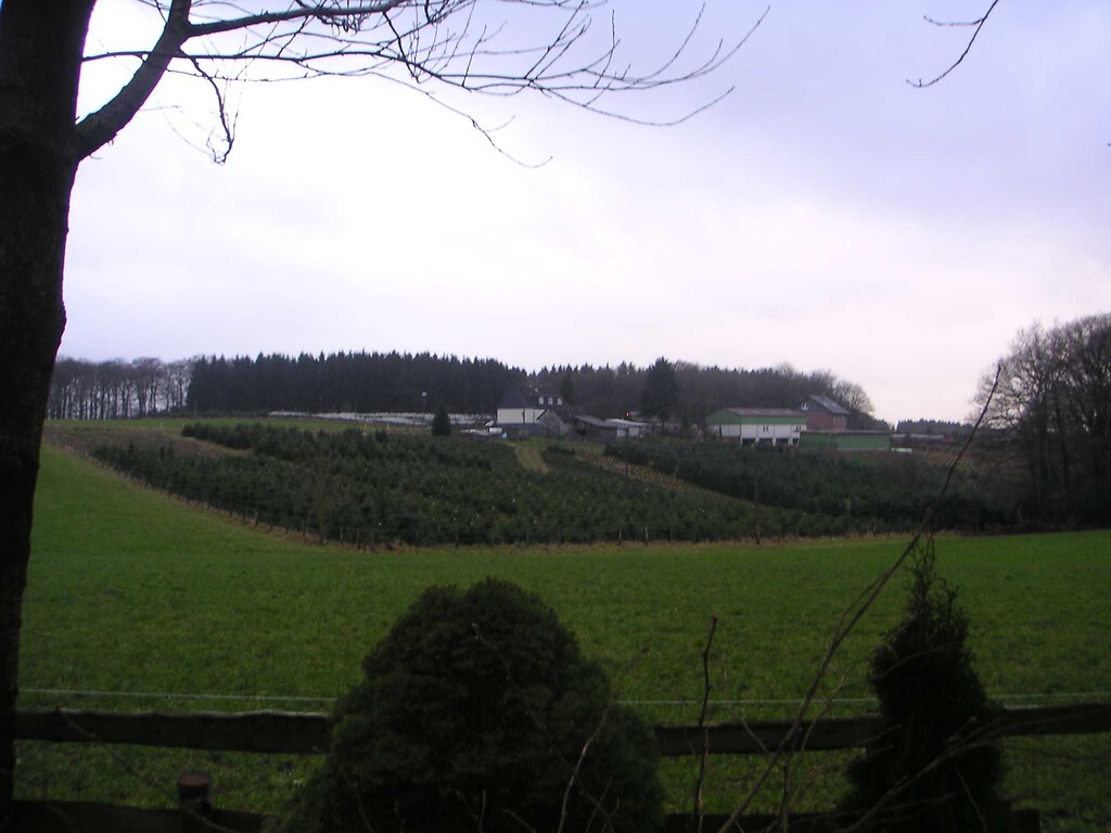 Blick auf die Baumschulanlage und Gebäude in Jakobsholt (2008)