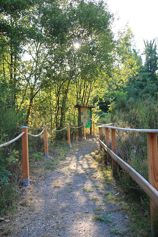 Ein Abschnitt des Heide-Lehrpfades an der Ohligser Heide (2022)