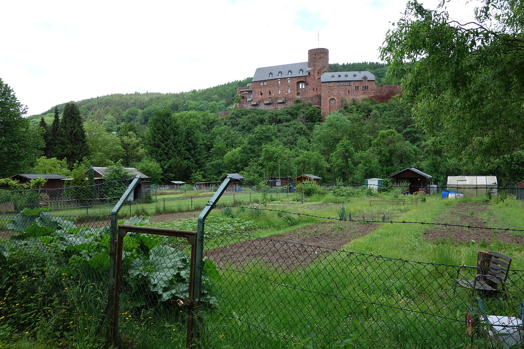 Ortsansicht von Heimbach mit Burg und Kleingärten (2016)
